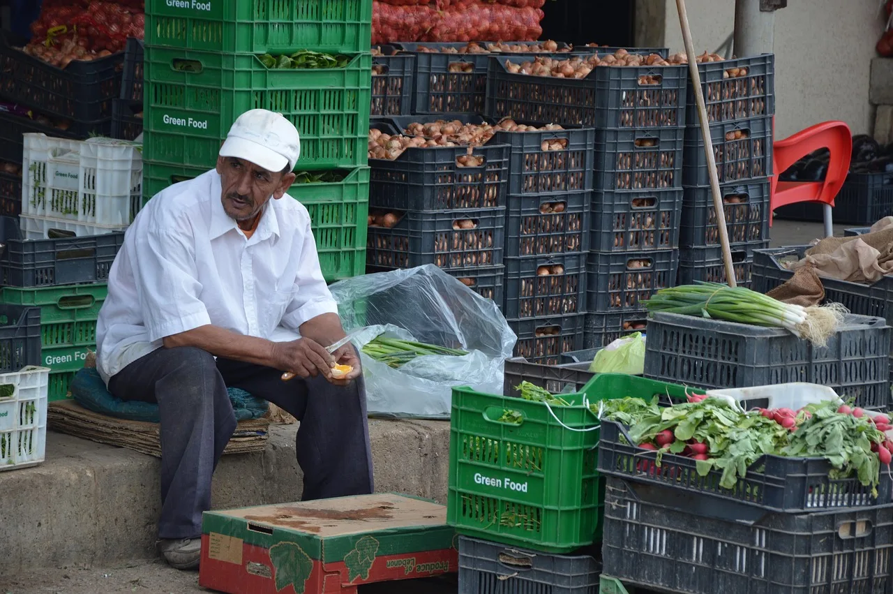 vegetables, market, dealer, asylum seeker, syria, selling, syria, syria, syria, syria, syria